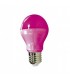 Bombilla LED 10W 220º E27 IP40 Color Decorativa.
